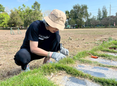Big Cleaning Day พารามิเตอร์รูปภาพ 9